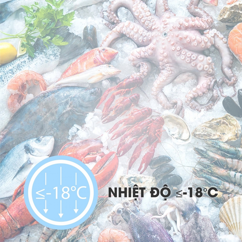 Nhiệt độ ≤-18°C Đảm bảo thực phẩm được bảo quản trong điều kiện lạnh sâu