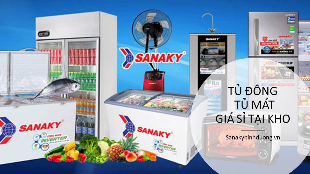 Tủ đông Sanaky giá rẻ ở Bình Dương